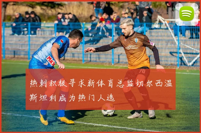热刺积极寻求新体育总监切尔西温斯坦利成为热门人选